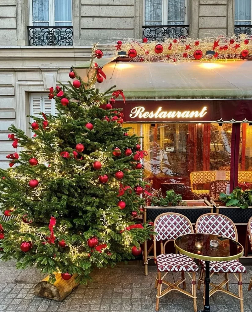 Joyeux Noël, it’s Christmas in Paris! 🎄