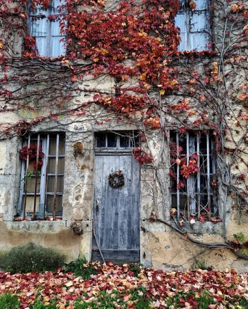 A local’s look at the beautiful Burgundy region ❤️