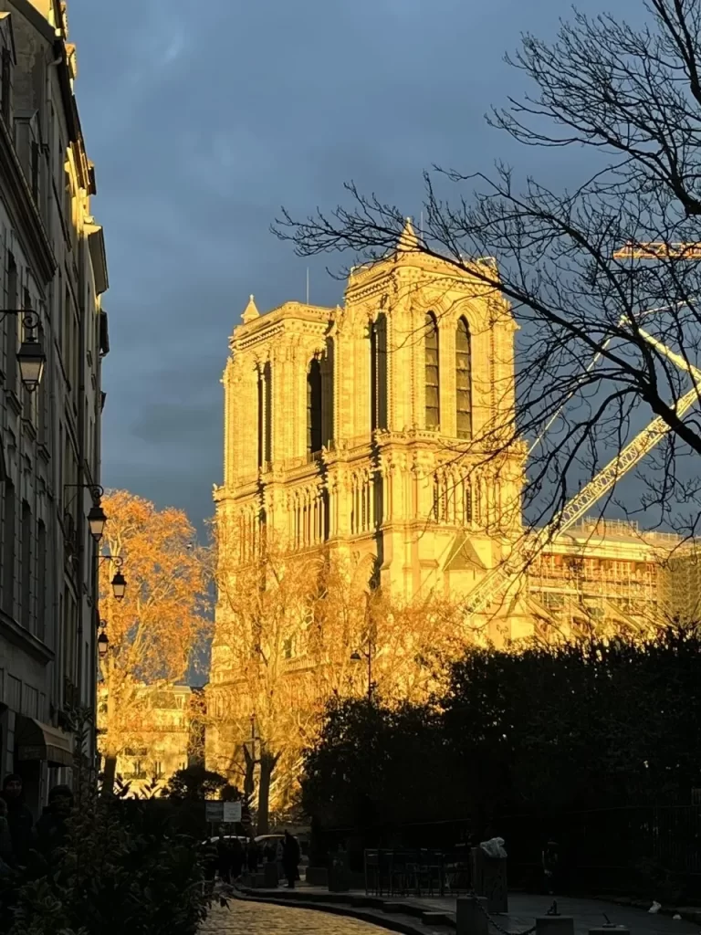 The rebirth of Notre Dame… it’s all on track!